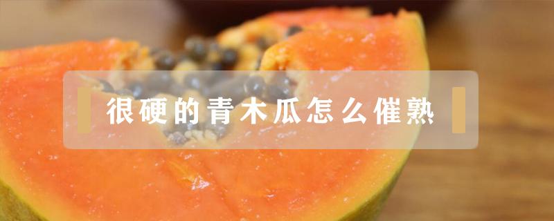 很硬的青木瓜怎么催熟 硬的青皮木瓜怎么催熟