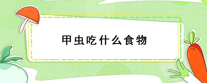 甲虫吃什么食物（甲虫吃什么食物 甲虫喜欢吃什么）