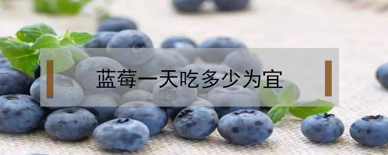 蓝莓一天吃多少为宜 蓝莓一天吃多少为宜可以吃一盒吗