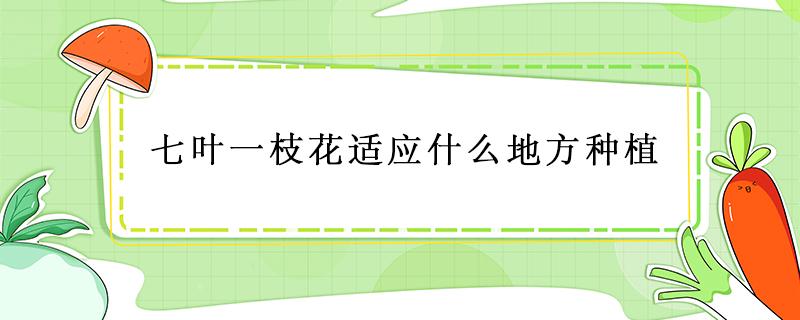 七叶一枝花适应什么地方种植