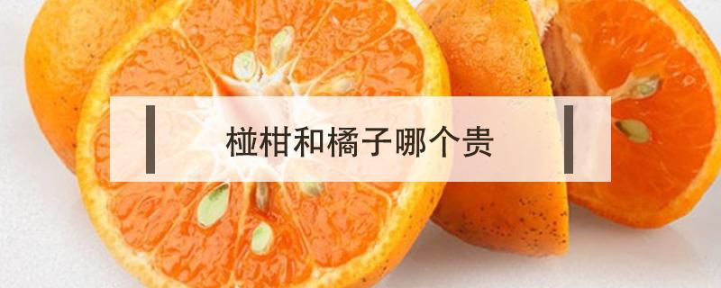 椪柑和橘子哪个贵（椪柑和橘子哪个好吃）