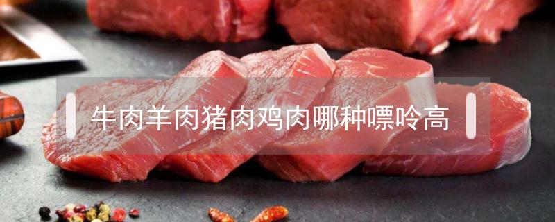 牛肉羊肉猪肉鸡肉哪种嘌呤高（牛肉嘌呤高还是鸡肉嘌呤高）