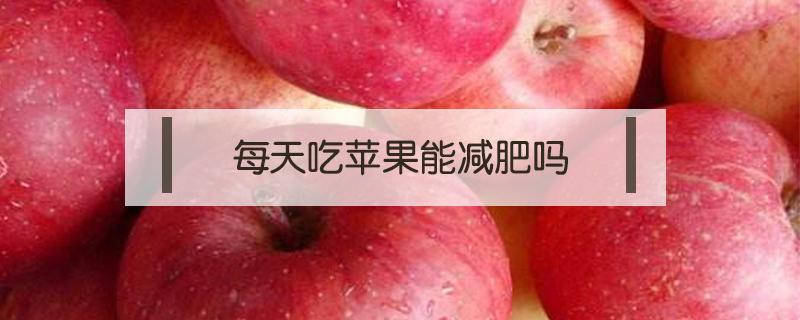 每天吃苹果能减肥吗
