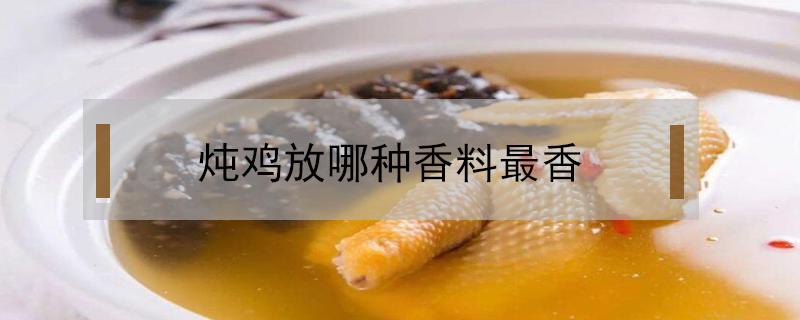 炖鸡放哪种香料最香 炖鸡放什么香料最香