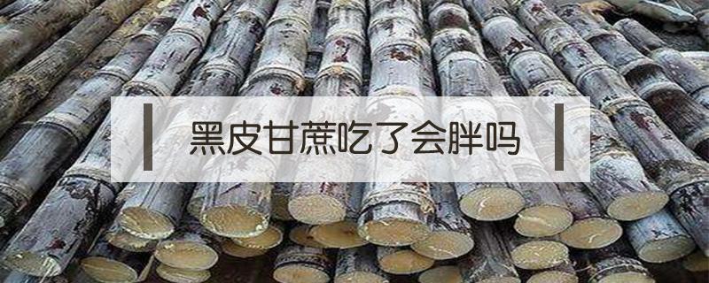 黑皮甘蔗吃了会胖吗 甘蔗皮发黑能不能吃