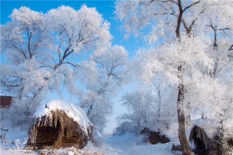 大雪节气吃什么