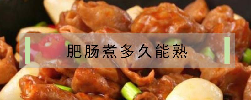 肥肠煮多久能熟 新鲜肥肠煮多久能熟