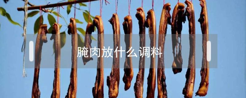 腌肉放什么调料 炒菜腌肉放什么调料