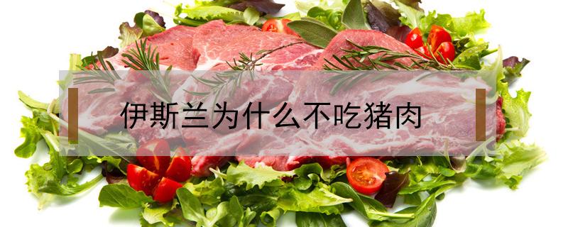 伊斯兰为什么不吃猪肉