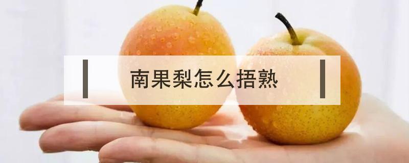 南果梨怎么捂熟（南果梨怎么捂熟比较光滑）