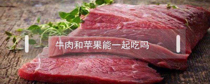 牛肉和苹果能一起吃吗