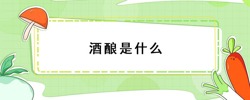 酒酿是什么 酒酿是什么菌发酵的