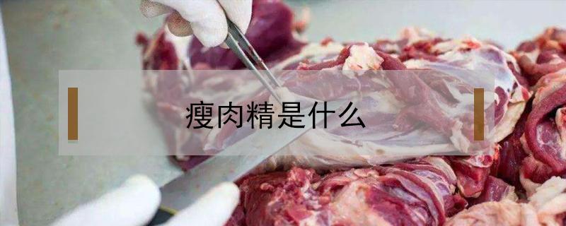 瘦肉精是什么 瘦肉精是什么东西对人有害吗