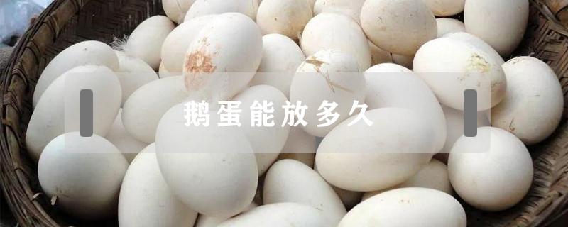 鹅蛋能放多久 腌制好的鹅蛋能放多久