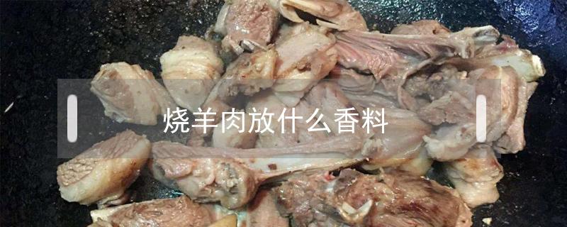 烧羊肉放什么香料（烧羊肉放什么香料比较好）