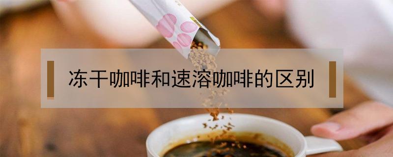 冻干咖啡和速溶咖啡的区别