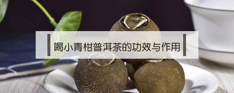 喝小青柑普洱茶的功效与作用 小青柑普洱茶喝了有什么好处