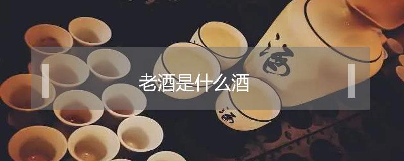 老酒是什么酒（福建老酒是什么酒）