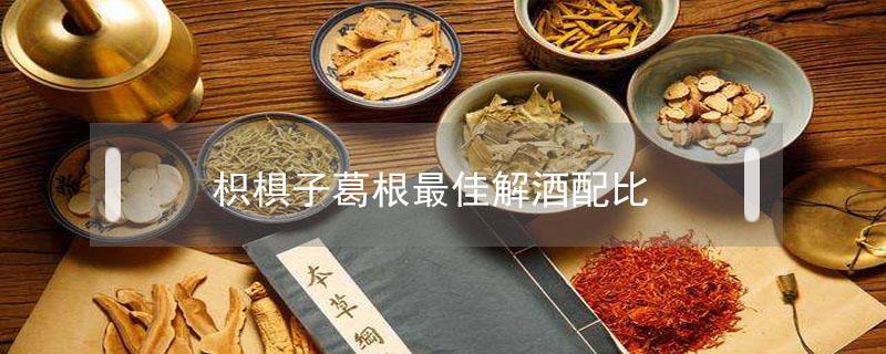 枳椇子葛根最佳解酒配比 葛根枳椇子解酒药怎么吃