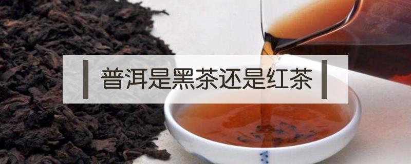 普洱是黑茶还是红茶 普洱茶,红茶,绿茶和黑茶的区别