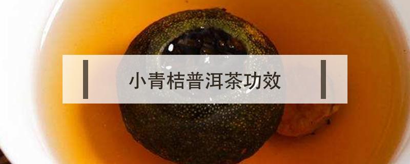 小青桔普洱茶功效 小青桔茶作用