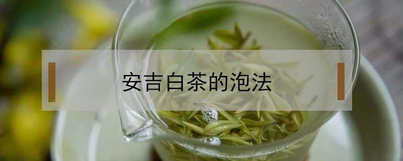 安吉白茶的泡法