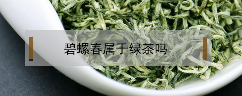 碧螺春属于绿茶吗（洞庭碧螺春属于绿茶吗）