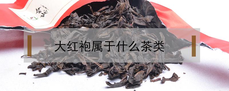 大红袍属于什么茶类（肉桂水仙大红袍属于什么茶类）