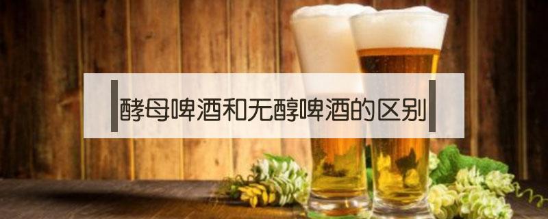 酵母啤酒和无醇啤酒的区别 不含酵母的啤酒