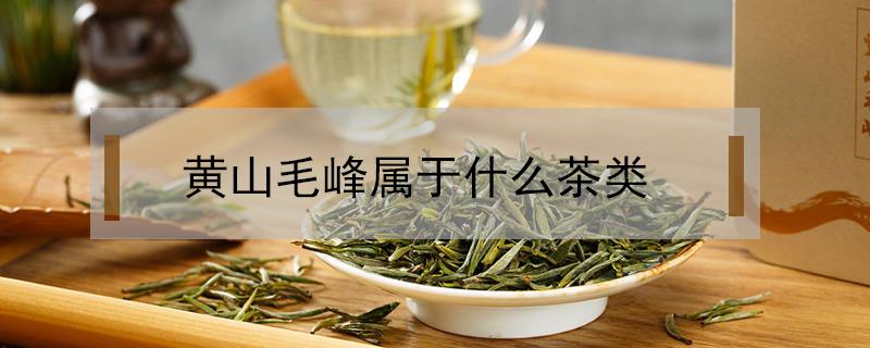 黄山毛峰属于什么茶类（黄山毛峰属于什么茶类?绿茶!）