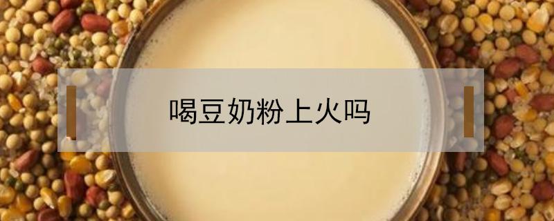 喝豆奶粉上火吗（儿童喝豆奶粉上火吗）