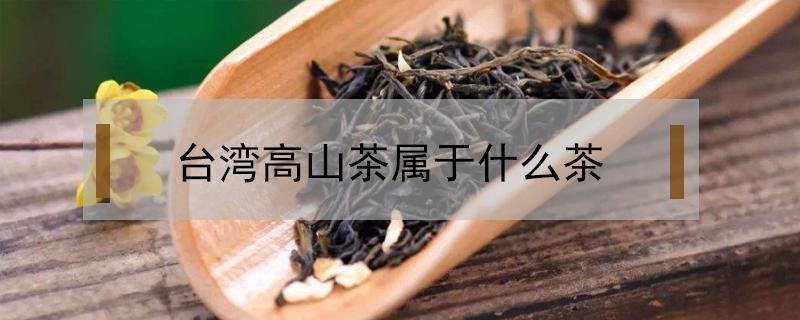 台湾高山茶属于什么茶（台湾高山茶属于什么茶?）