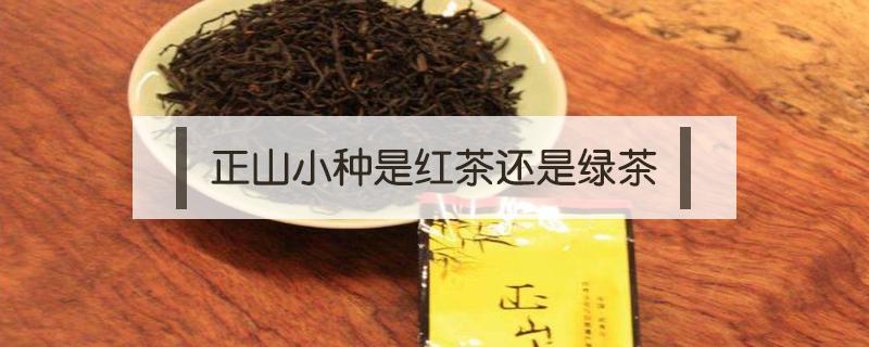 正山小种是红茶还是绿茶 正山小种是红茶还是绿茶?