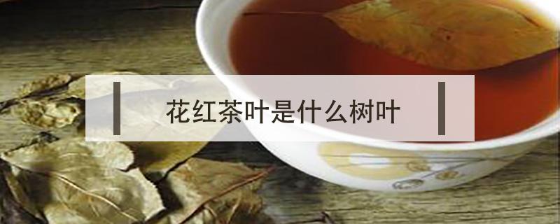 花红茶叶是什么树叶 茶花树叶是茶叶吗
