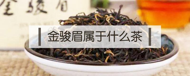 金骏眉属于什么茶 金骏眉属于什么茶叶是红茶还是绿茶