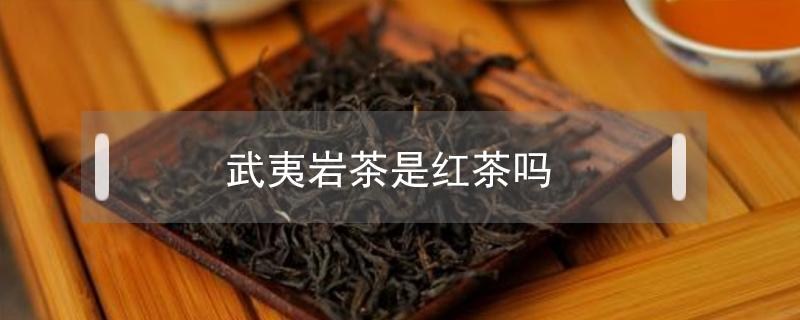武夷岩茶是红茶吗（武夷岩红是什么茶）