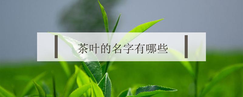 茶叶的名字有哪些