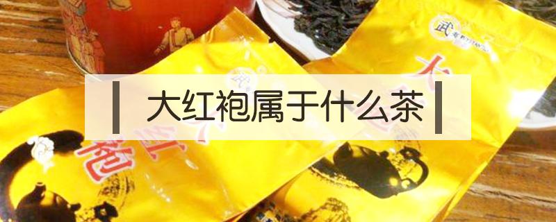 大红袍属于什么茶 大红袍属于什么茶是红茶吗