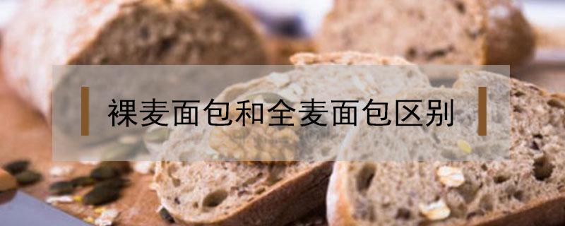 裸麦面包和全麦面包区别 全麦面包 区别