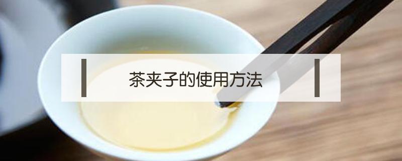 茶夹子的使用方法 茶夹子的使用方法教程