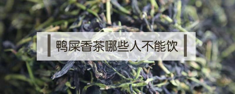 鸭屎香茶哪些人不能饮（鸭屎香茶什么人不能喝）