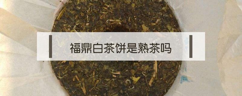 福鼎白茶饼是熟茶吗 福鼎白茶饼是普洱茶吗