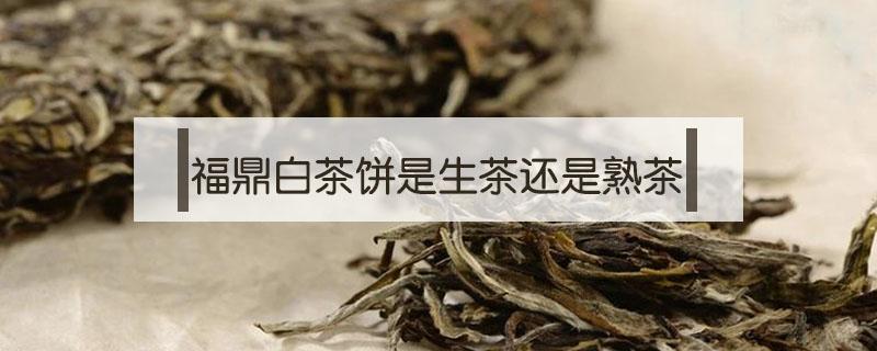 福鼎白茶饼是生茶还是熟茶（福鼎白茶和普洱生茶的区别）