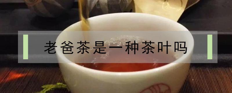 老爸茶是一种茶叶吗