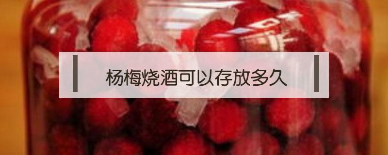 杨梅烧酒可以存放多久 杨梅烧酒能放多久