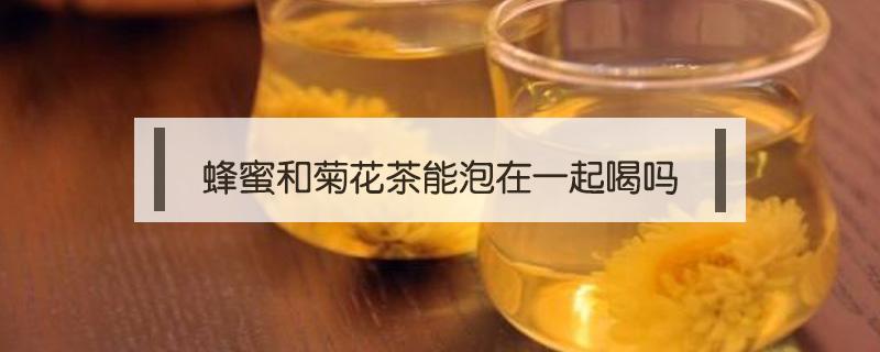 蜂蜜和菊花茶能泡在一起喝吗 蜂蜜菊花和茶可以同时泡吗?