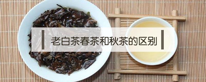 老白茶春茶和秋茶的区别