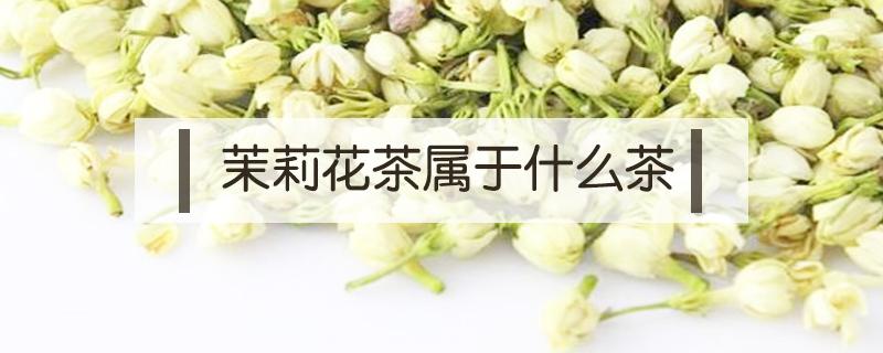 茉莉花茶属于什么茶（普洱茶属于什么茶）