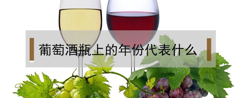 葡萄酒瓶上的年份代表什么 葡萄酒酒瓶上的年份