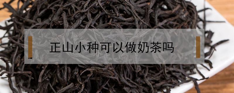 正山小种可以做奶茶吗